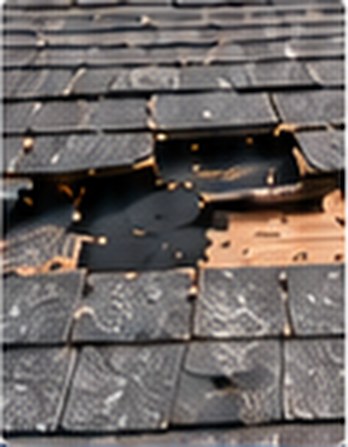 Missing shingles exposing the roof deck &mdash; Free Roof Program Los Angeles